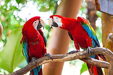 光影造梦者的王座：《超级电影大亨》—你的好莱坞传奇由此开始